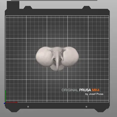 Đầu Voi (Elephant Head)