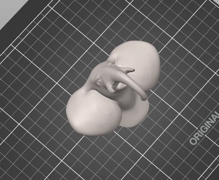 Đầu Voi (Elephant Head) - Image 4