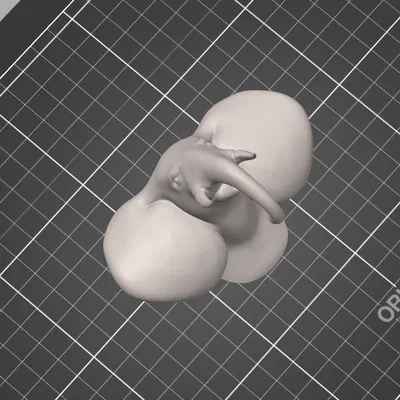 Đầu Voi (Elephant Head)