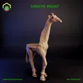 Giá đỡ Hươu cao cổ (Girafe mount) - Thumbnail 3