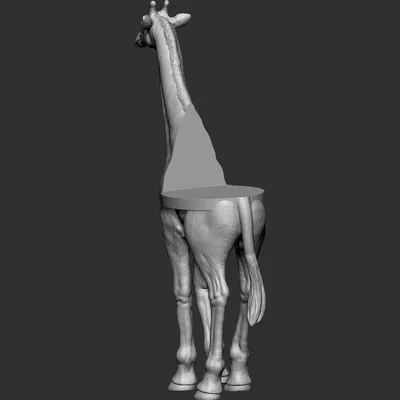 Giá đỡ Hươu cao cổ (Girafe mount)