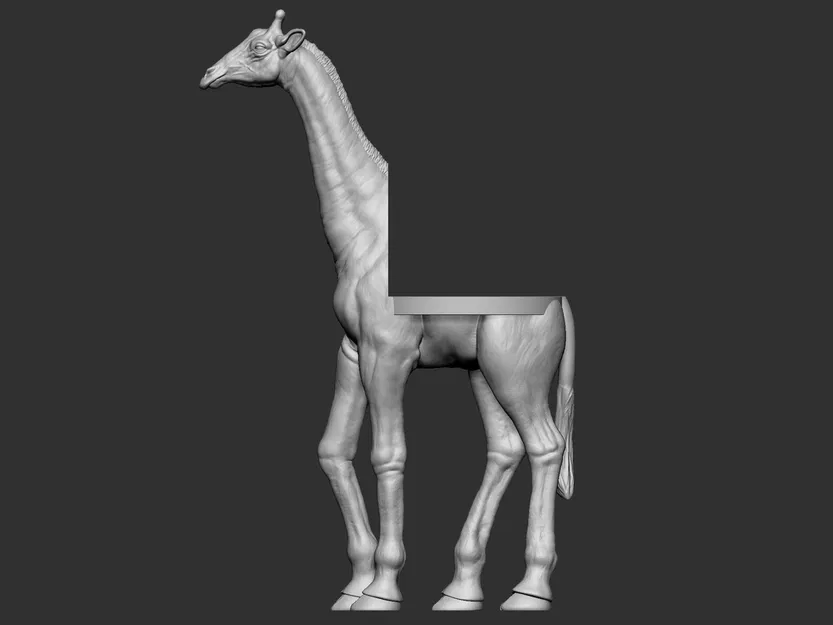 Giá đỡ Hươu cao cổ (Girafe mount) - Image 5