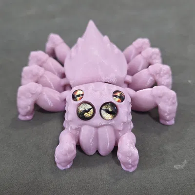 Nhện Nhảy khớp nối – tương thích mắt kính 6mm + 8mm