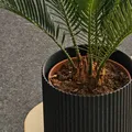 Wave Planter – Chậu Trồng Cây Dạng Sóng - Thumbnail 1