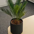 Wave Planter – Chậu Trồng Cây Dạng Sóng - Thumbnail 2