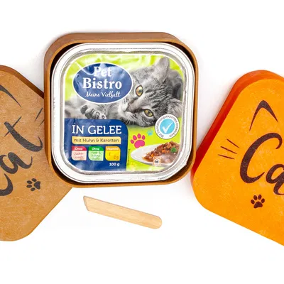 Hộp đựng thức ăn khẩn cấp cho mèo hoang (Emergency Stray Cat Feeder Case)