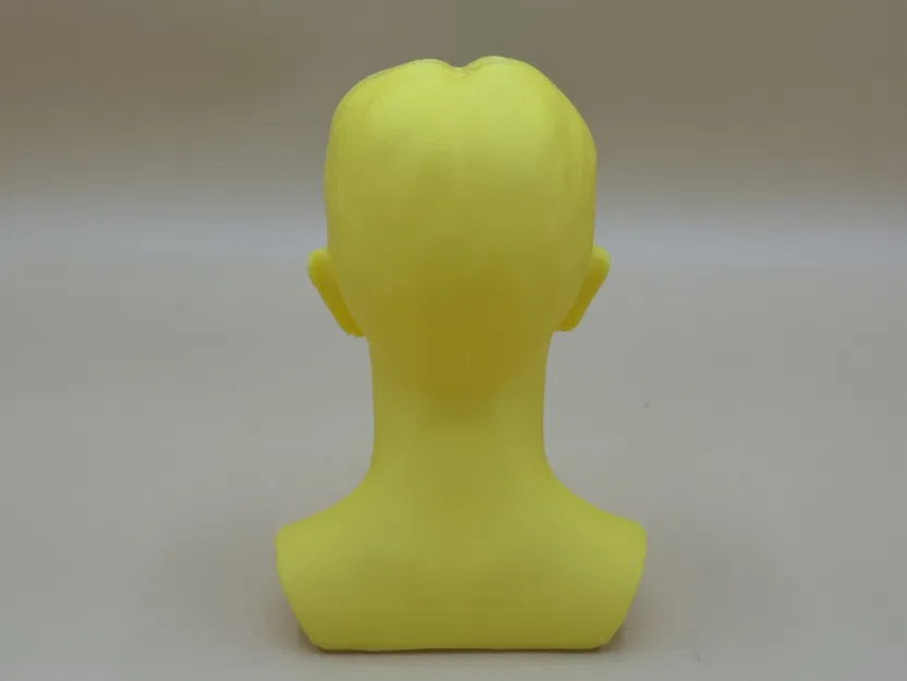 Tượng Bán Thân Nikola Tesla (Nikola Tesla Bust) - Image 3