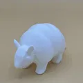 Armadillo Dễ Thương (Cute Armadillo) - Thumbnail 1