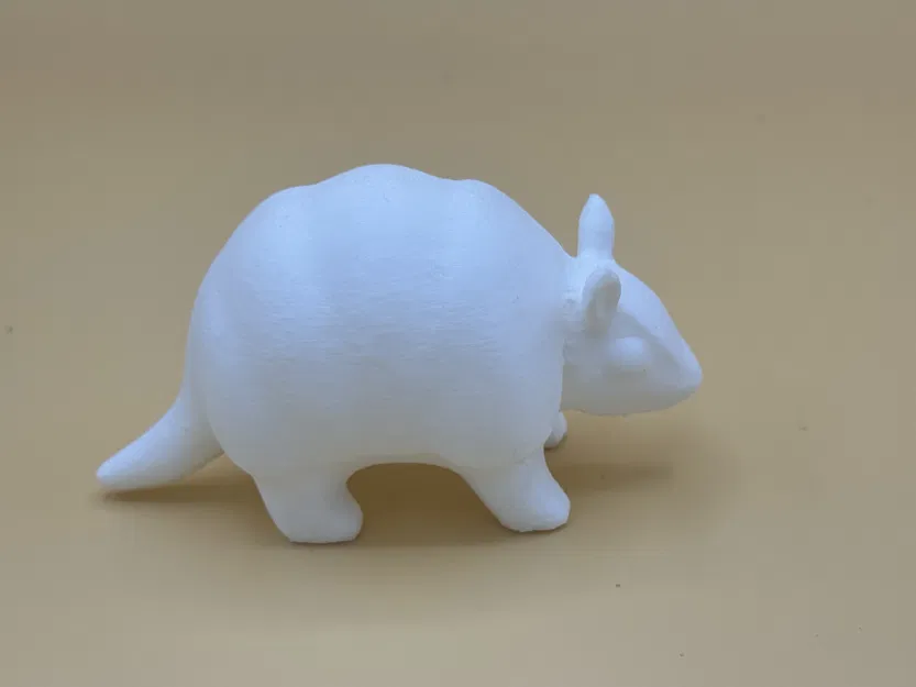 Armadillo Dễ Thương (Cute Armadillo) - Image 4