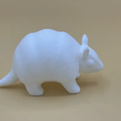 Armadillo Dễ Thương (Cute Armadillo)