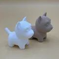 Cún Westie Dễ Thương (Cute Westie Puppy) - Thumbnail 5
