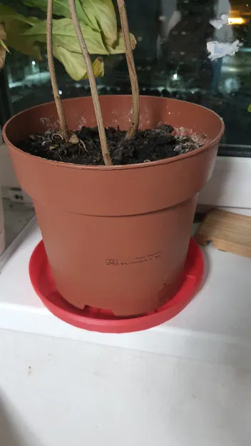 Khay lót chậu hoa (Flower pot tray) - Image 4