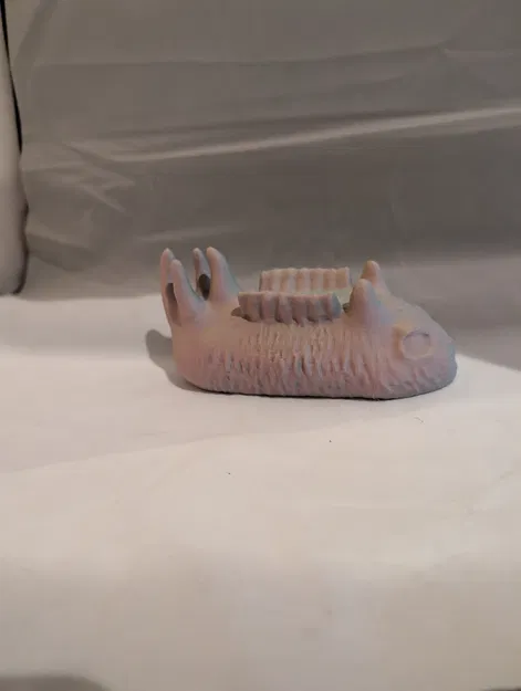 Sea Bunny Xếp Chồng (Stacking Sea Bunnies) - Image 3