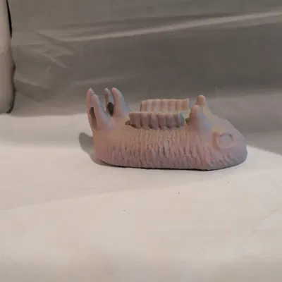 Sea Bunny Xếp Chồng (Stacking Sea Bunnies)