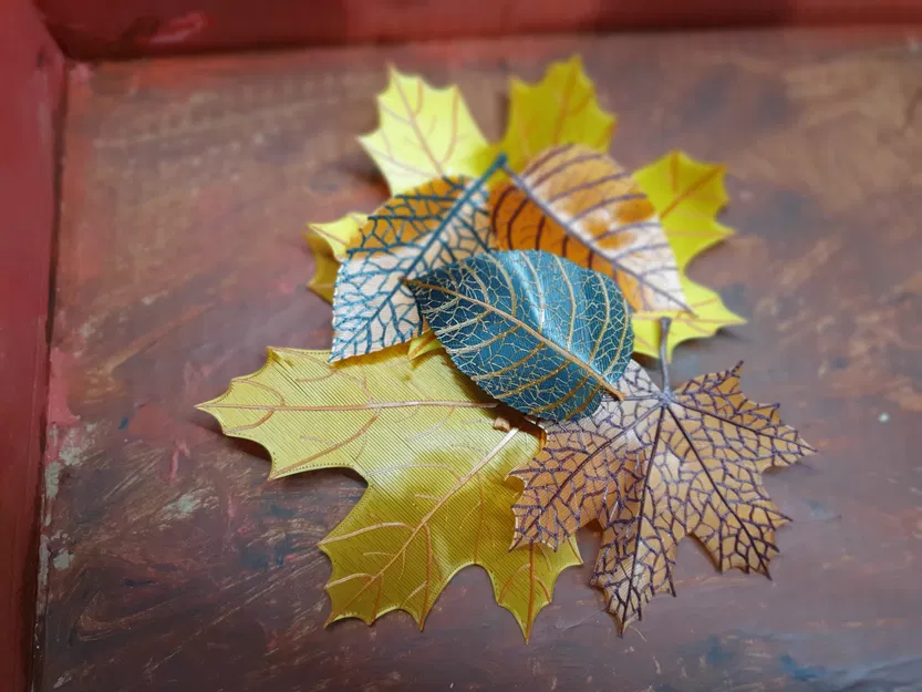 🍂 Bộ lá organic (vẻ ngoài realistic) - Image 5