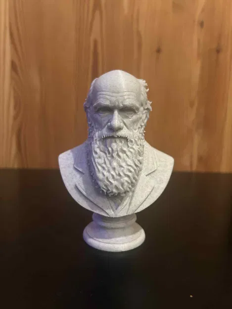 Charles Robert Darwin – Bust (Tượng bán thân) - Image 2
