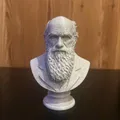Charles Robert Darwin – Bust (Tượng bán thân) - Thumbnail 2