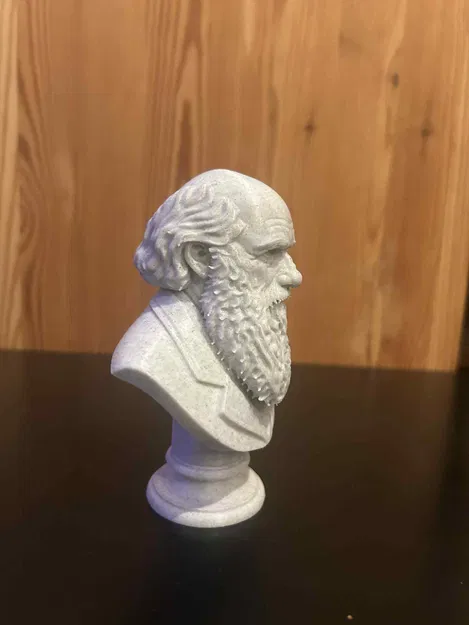 Charles Robert Darwin – Bust (Tượng bán thân) - Image 3