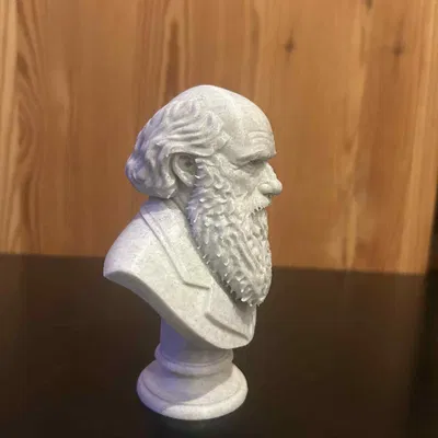 Charles Robert Darwin – Bust (Tượng bán thân)
