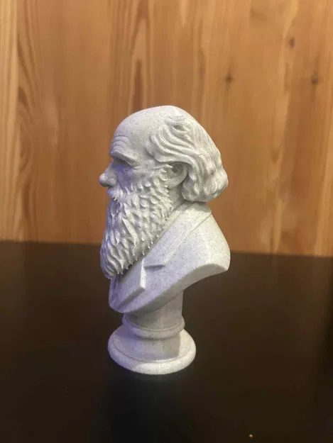 Charles Robert Darwin – Bust (Tượng bán thân) - Image 4