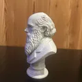 Charles Robert Darwin – Bust (Tượng bán thân) - Thumbnail 4