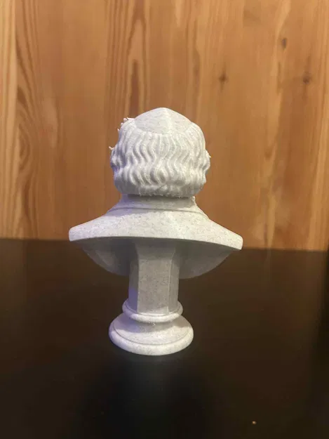 Charles Robert Darwin – Bust (Tượng bán thân) - Image 5