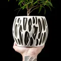 Chậu cây Slime của MODERN MACHINE - Thumbnail 1