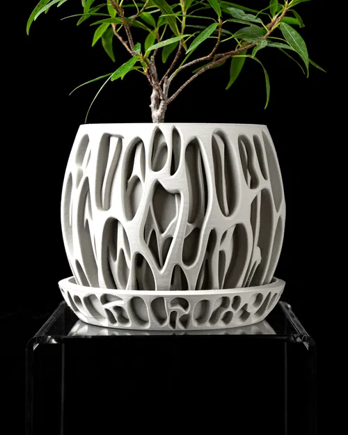 Chậu cây Slime của MODERN MACHINE - Image 6