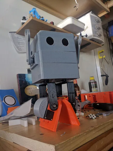 Chip-E (tùy chỉnh chiều cao, tay chân, mắt, servo) - Image 19