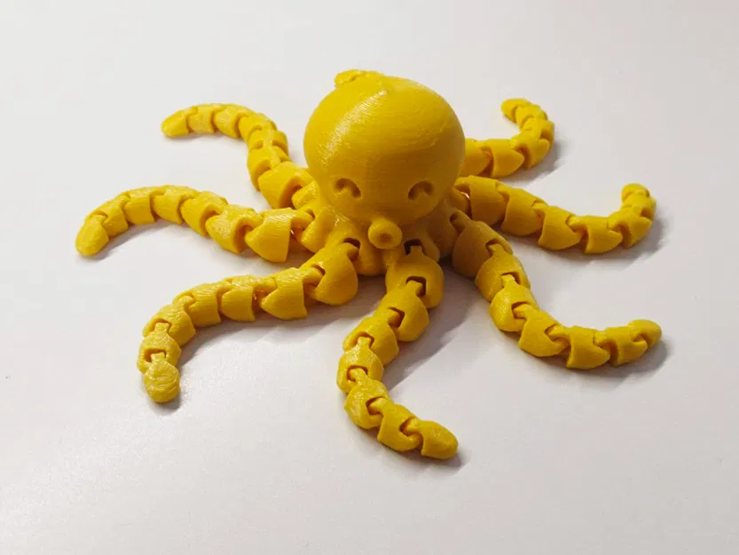 Bạch tuộc dễ thương với xúc tu dài - Image 1