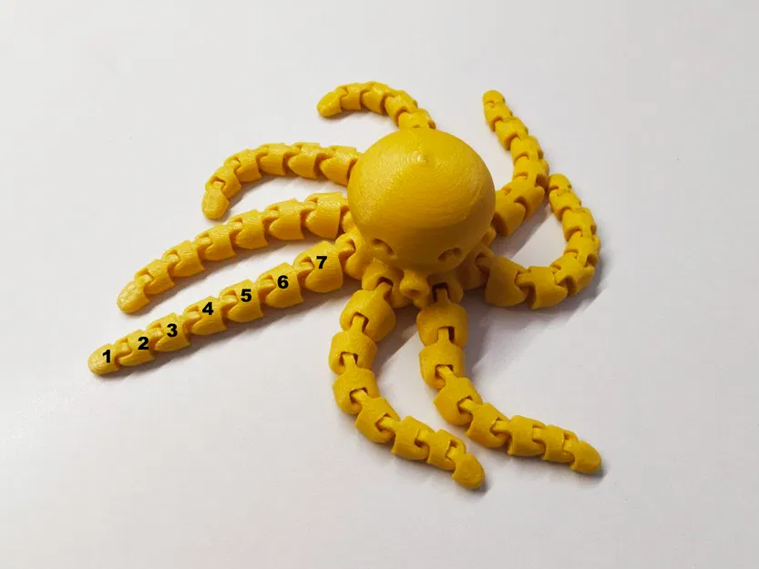 Bạch tuộc dễ thương với xúc tu dài - Image 2