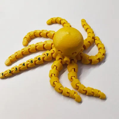 Bạch tuộc dễ thương với xúc tu dài