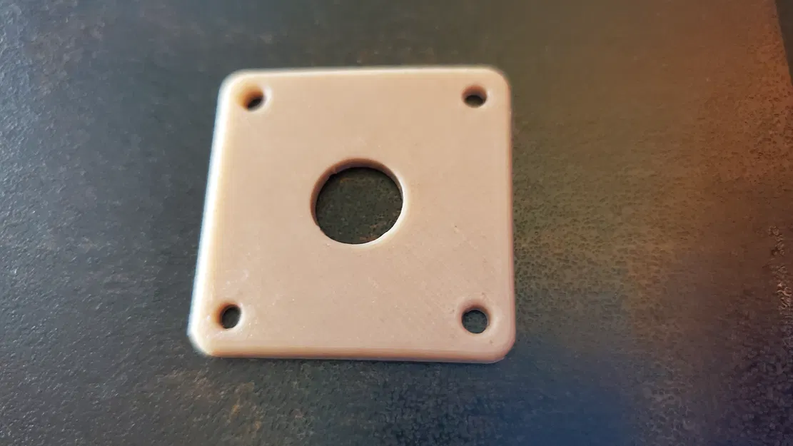 Jack Plate tùy chỉnh cho Gibson Les Paul (Custom Gibson Les Paul Jack Plate) - Image 3