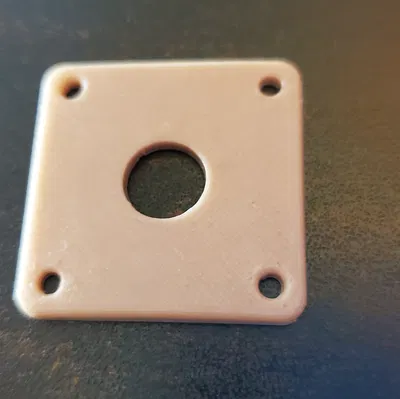 Jack Plate tùy chỉnh cho Gibson Les Paul (Custom Gibson Les Paul Jack Plate)