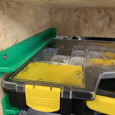 Ray cho hộp Stanley organizer