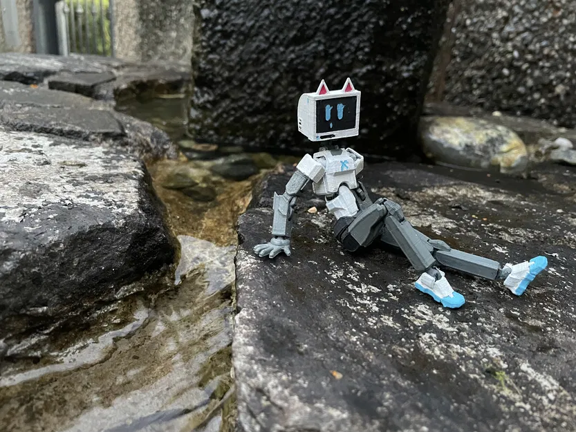 TV-Head cho Dummy 13 - Image 1