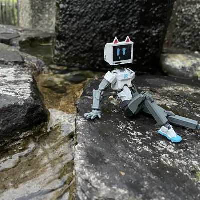 TV-Head cho Dummy 13