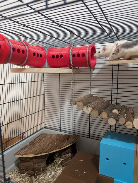 V2 Modular Rat & Rodent HQ - Đường hầm tùy biến 80 mm - Image 1