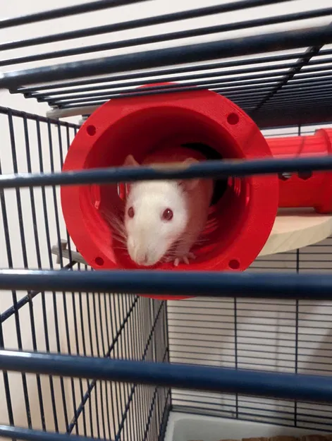 V2 Modular Rat & Rodent HQ - Đường hầm tùy biến 80 mm - Image 4