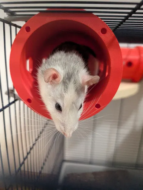 V2 Modular Rat & Rodent HQ - Đường hầm tùy biến 80 mm - Image 9