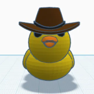 Vịt đội nón (Duck with a Hat)