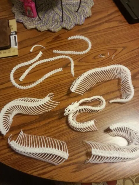 Bộ Xương Rắn (Snake Skeleton!) - Image 1