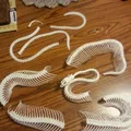 Bộ Xương Rắn (Snake Skeleton!) - Thumbnail 1