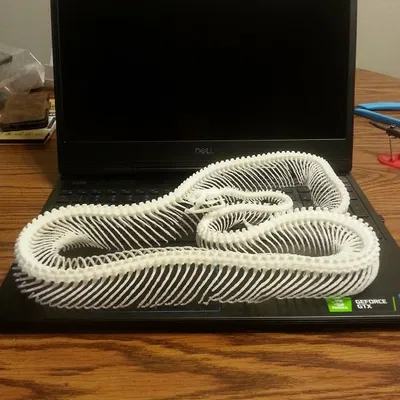 Bộ Xương Rắn (Snake Skeleton!)