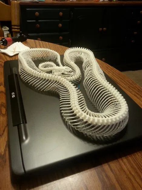 Bộ Xương Rắn (Snake Skeleton!) - Image 6