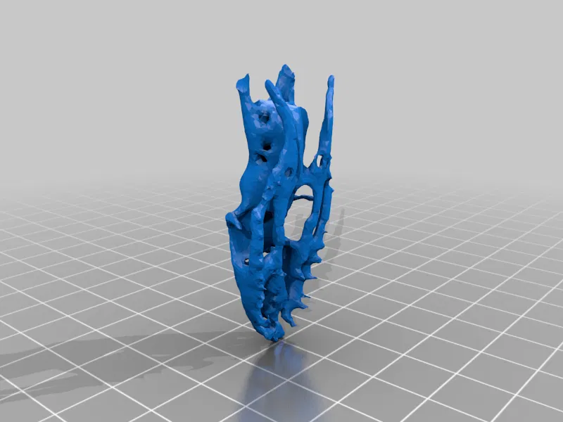 Bộ Xương Rắn (Snake Skeleton!) - Image 7