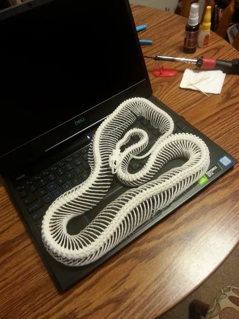 Bộ Xương Rắn (Snake Skeleton!) - Image 10