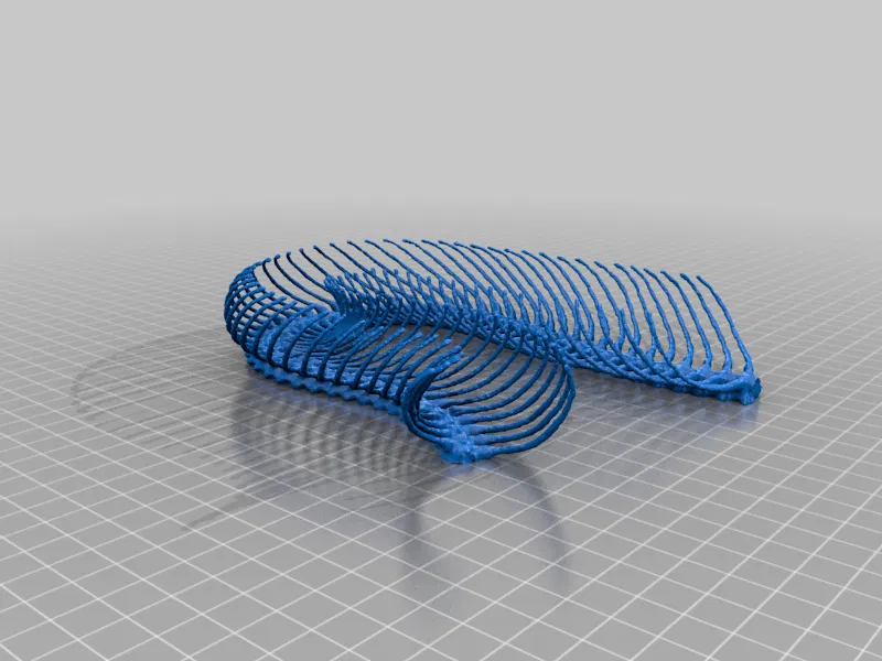 Bộ Xương Rắn (Snake Skeleton!) - Image 11