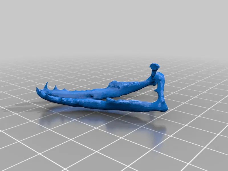 Bộ Xương Rắn (Snake Skeleton!) - Image 12