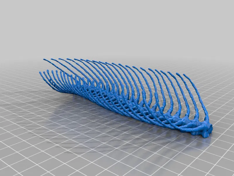 Bộ Xương Rắn (Snake Skeleton!) - Image 13